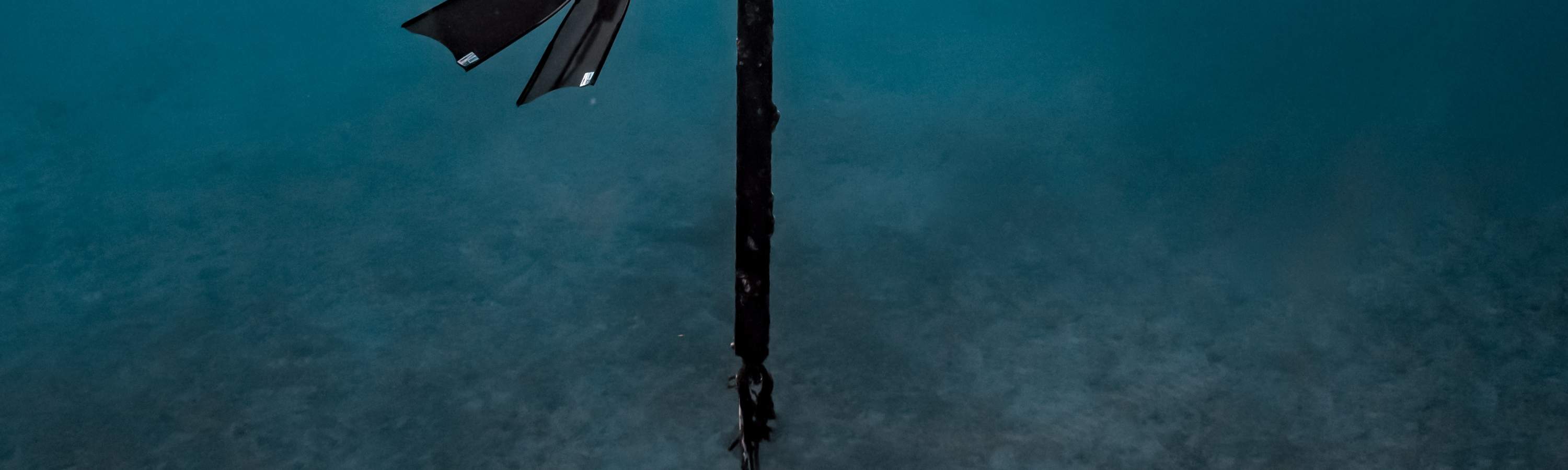 Đài Đông: Lặn tự do ở Đảo Xanh (Không cần bằng & kèm chụp ảnh dưới đáy biển)