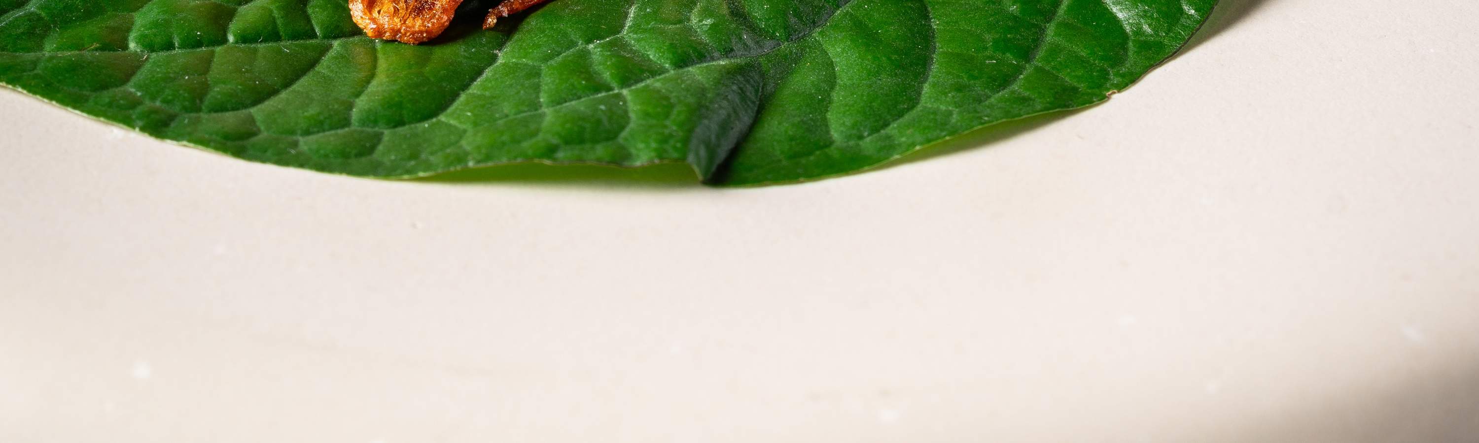 Jim Thompson, A Thai Restaurant