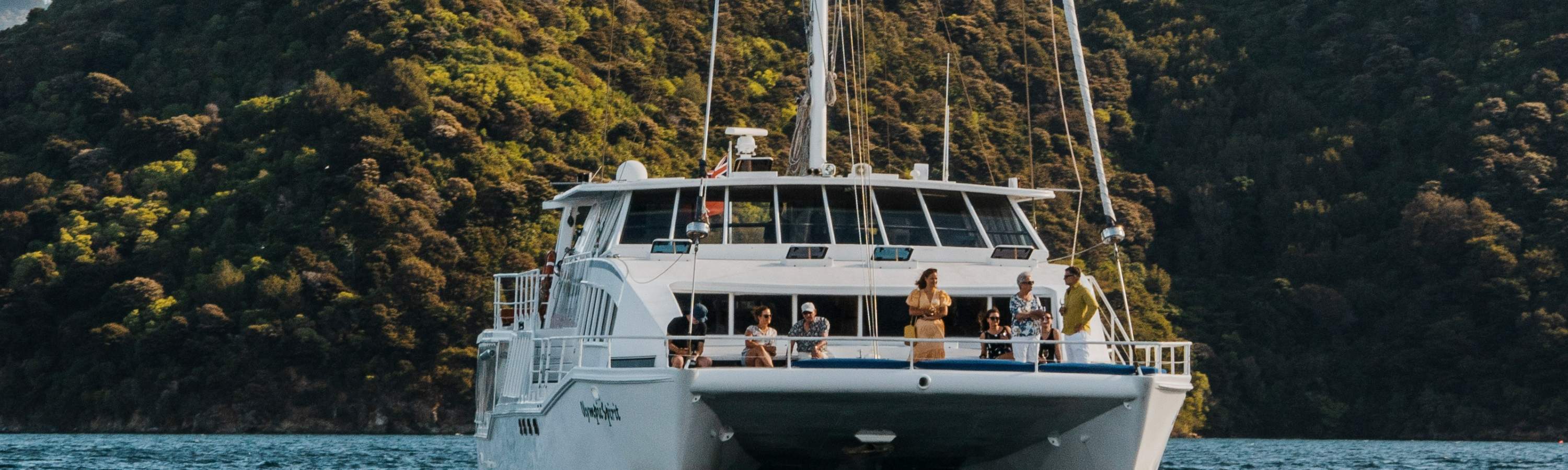 Crucero de Mejillones Verdes de Marlborough