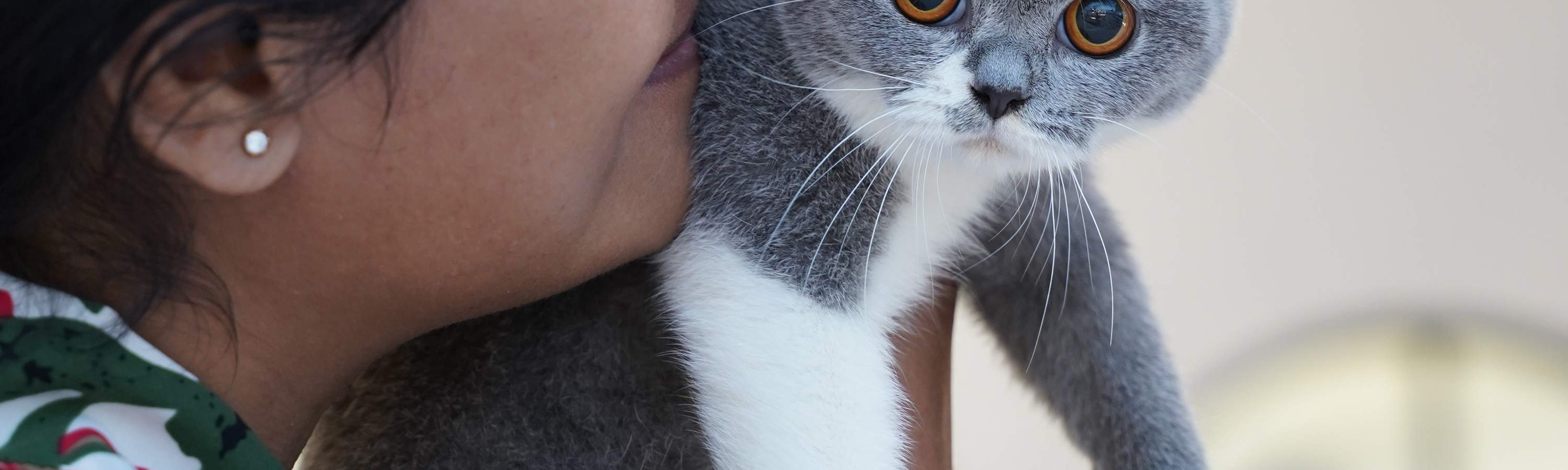 Katzenkaffee Pet Nirvana Bali