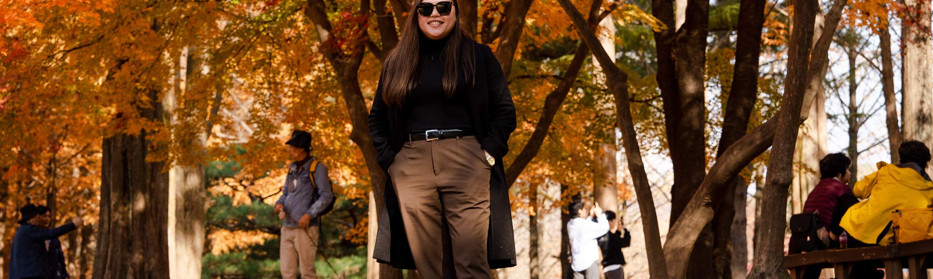 ต้นเมเปิล