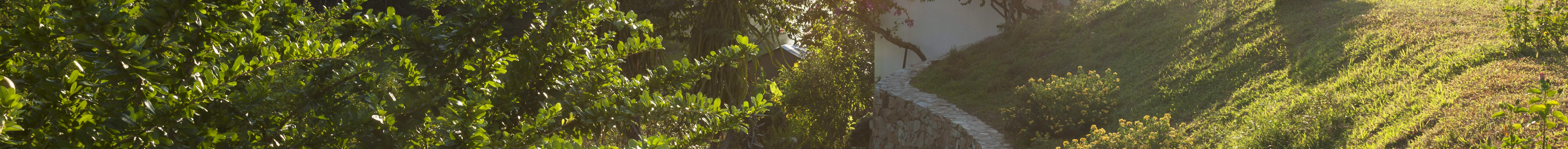 O Quy Ho Fairy Valley