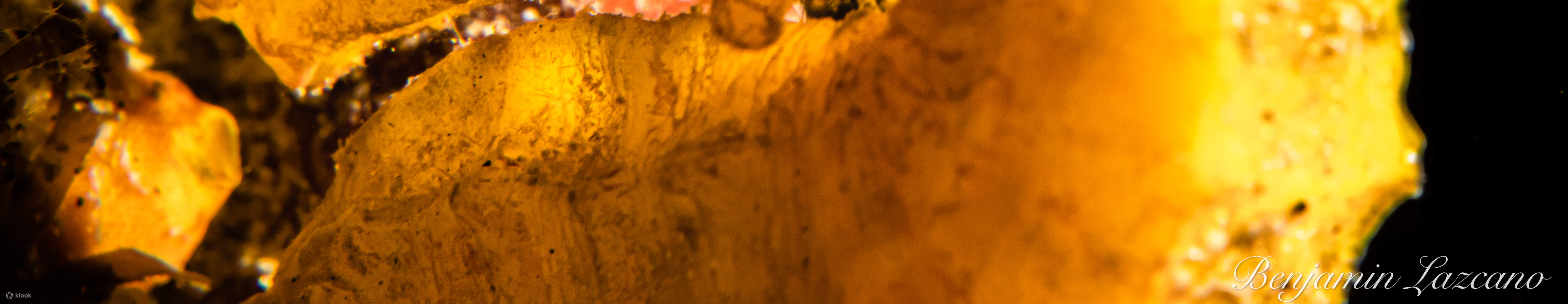 매크로 러버 다이브 패키지