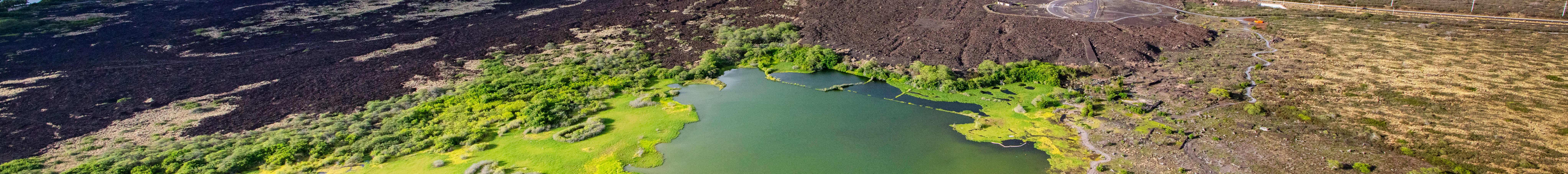 Recorrido panorámico por la costa de Kona - Tour en helicóptero de 30 minutos - Con o sin puertas
