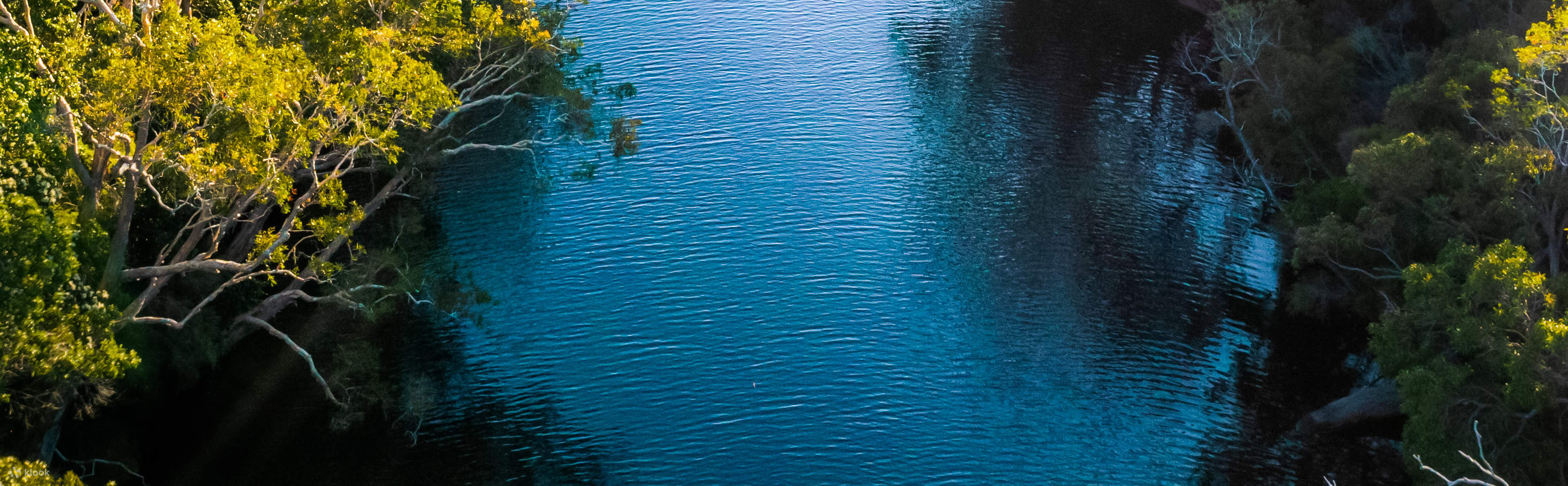 ทัวร์แอ่งน้ำนูซาเอเวอร์เกลดส์