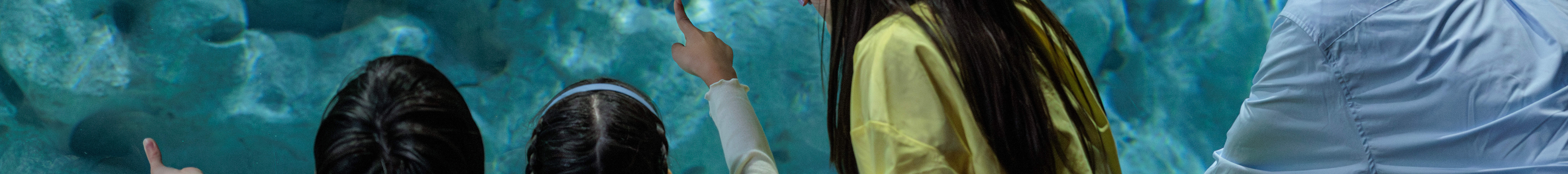 Entrada al Acuario DMM Kariyushi en Okinawa