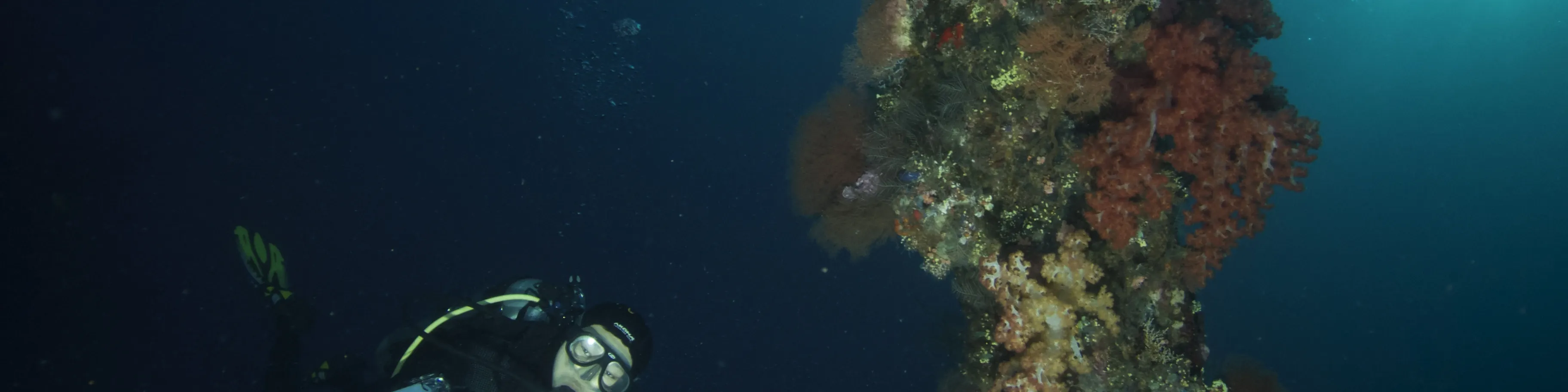 在 USAT Liberty Wreck Tulamben 进行 2 次潜水