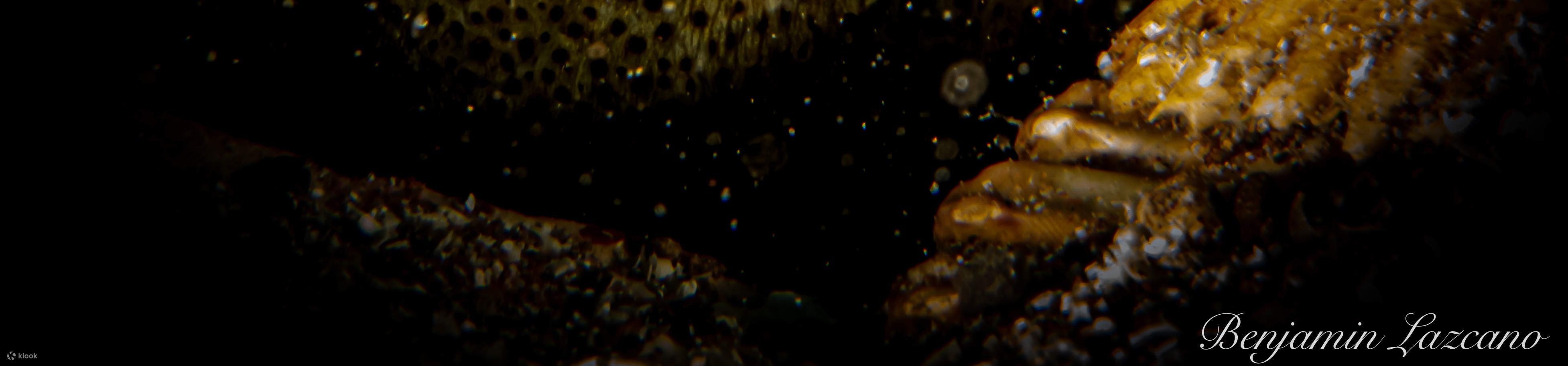 매크로 러버 다이브 패키지