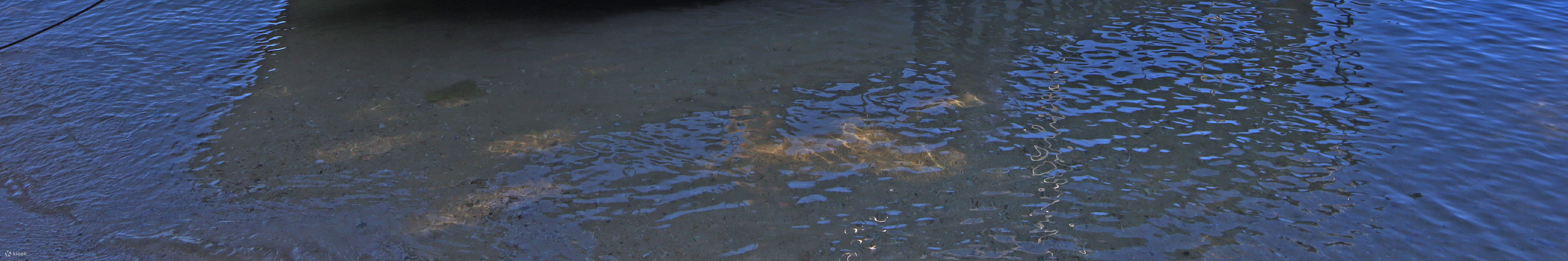 Trip Snorkeling Setengah Hari