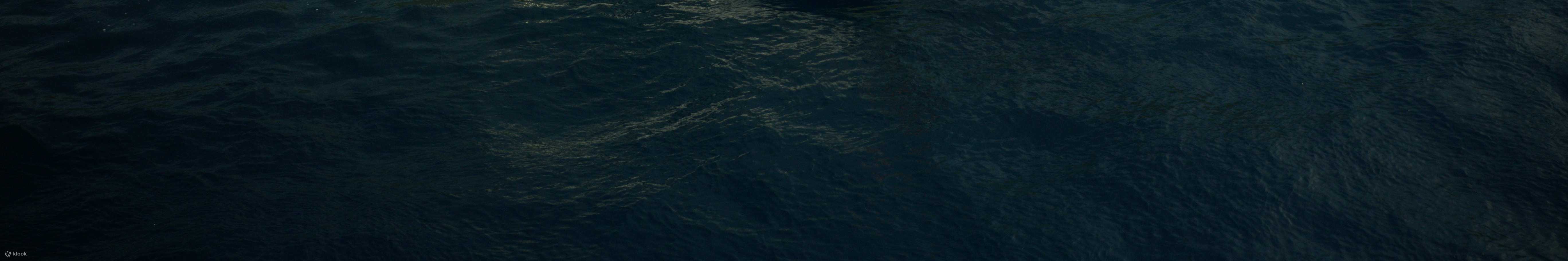 ダイビングボート