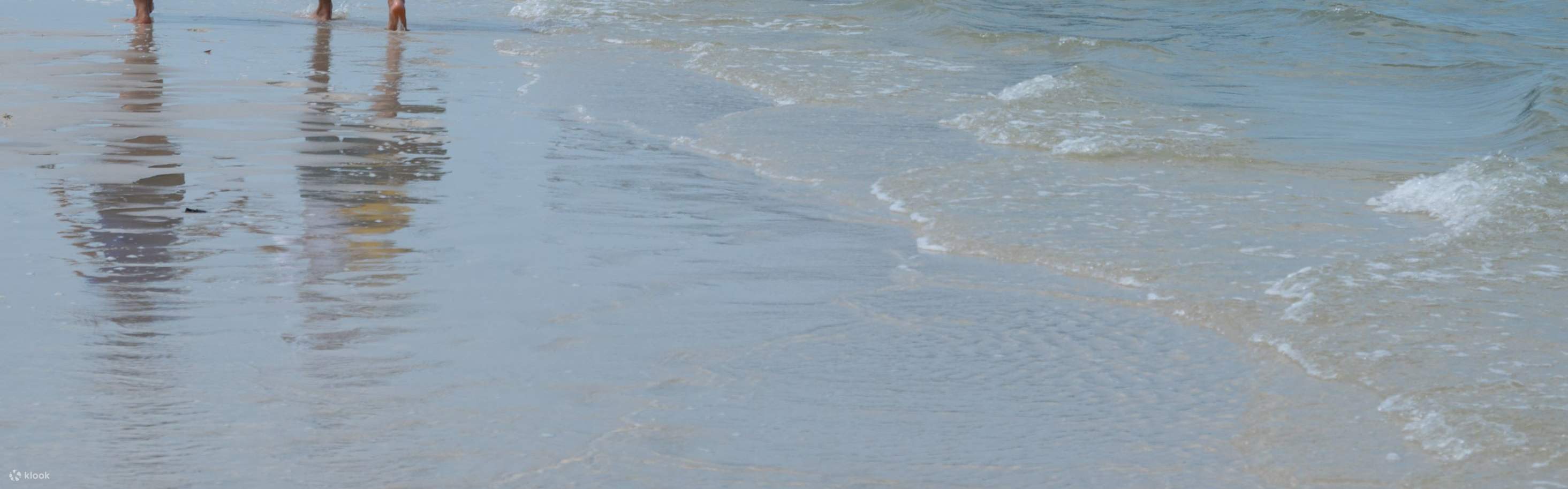 在椰子島放鬆身心。