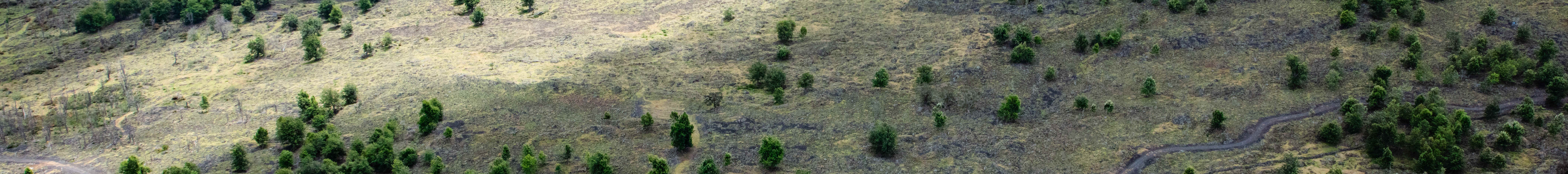 コハラコースト 火山と滝を巡る90分ヘリコプターツアー - ドアあり／なし