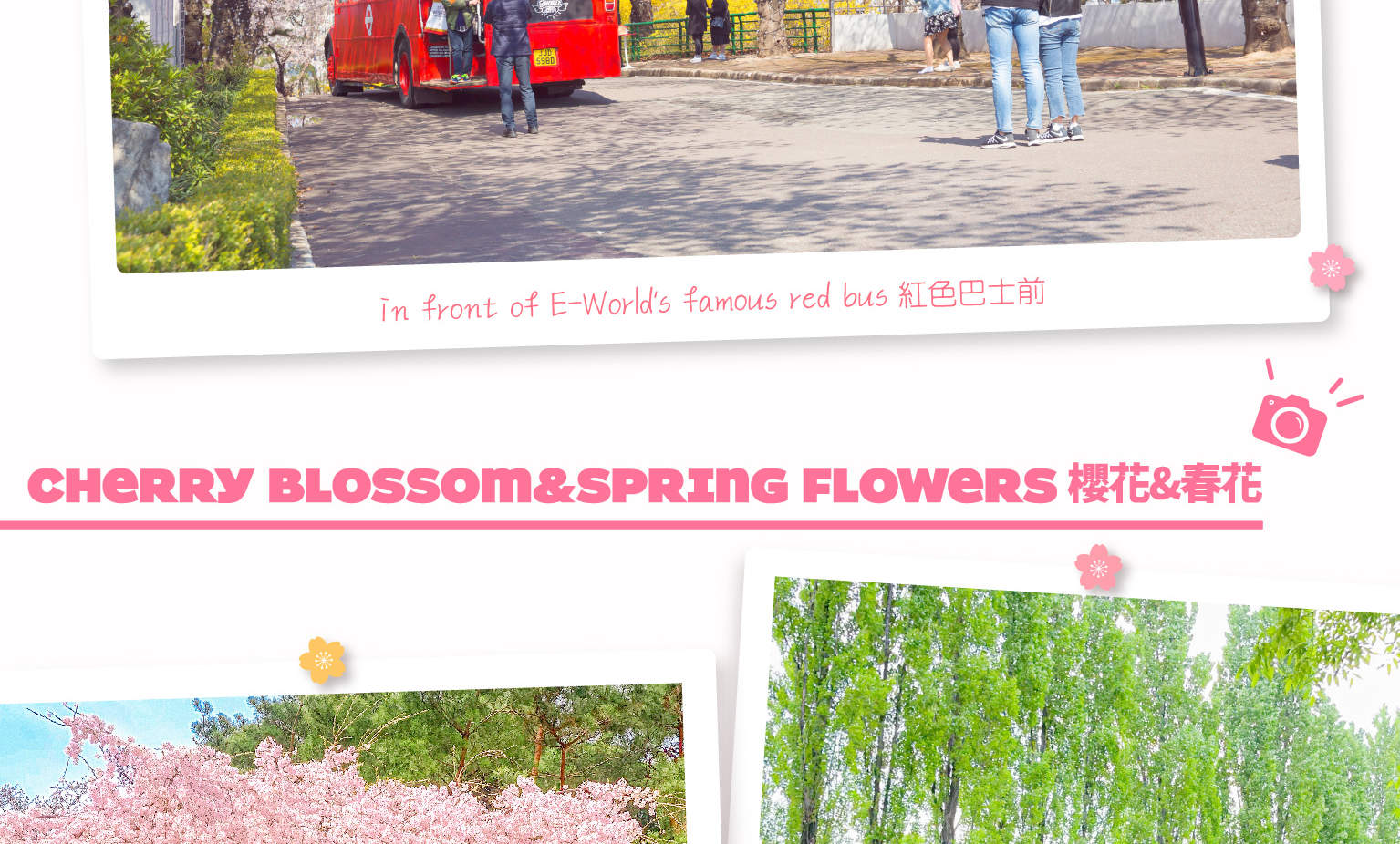 Daegu E-World Day Tour with Admission & Transportation from Busan ...
