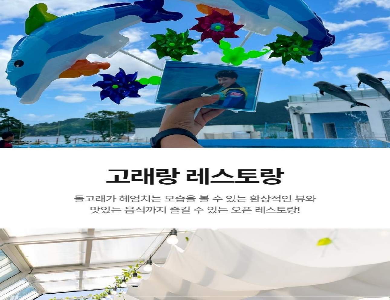 경남 거제 씨월드 입장권