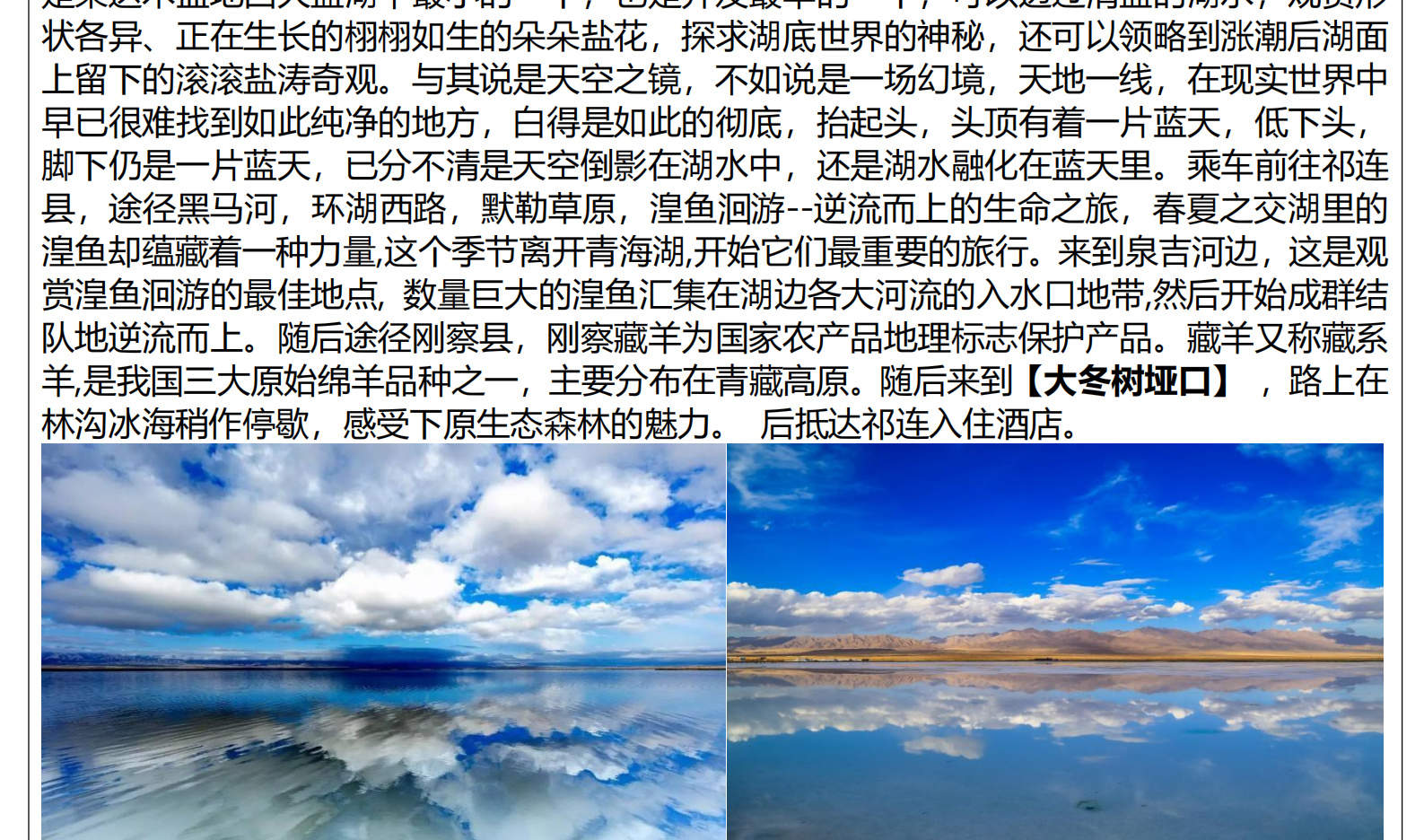 Qinggan Small Loop Tianjing Qilian 4 วัน (ขี่ม้าในทุ่งหญ้า/ยิงธนู ...