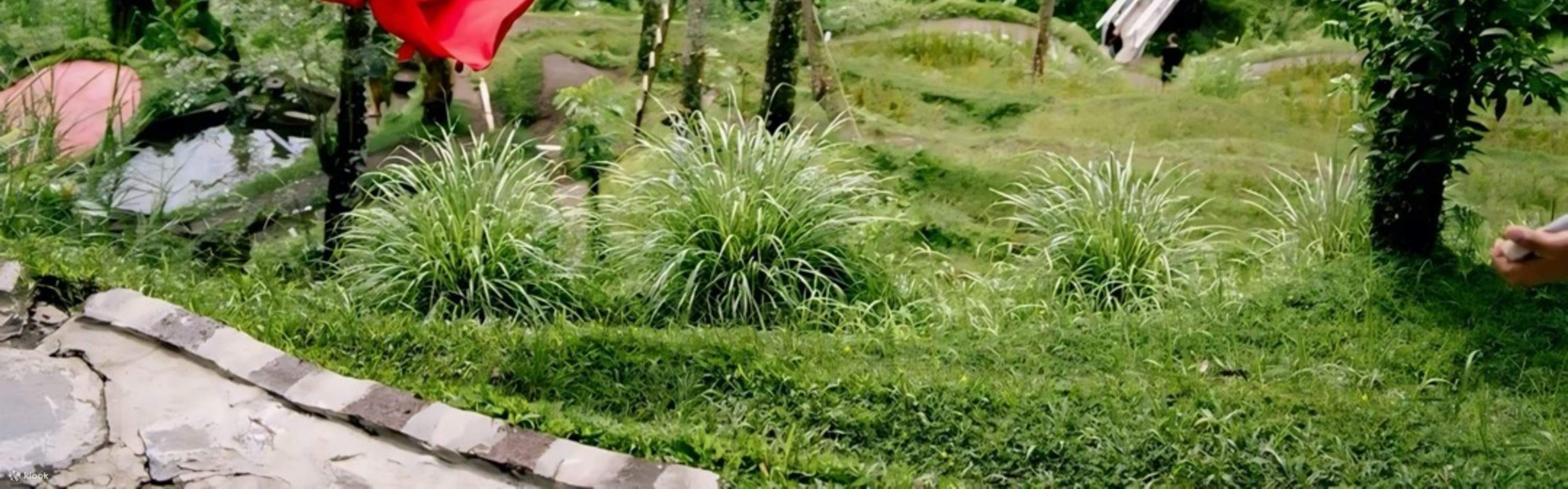 Excursion en Jeep au Mont Batur Alengkong au lever du soleil avec photographe en option