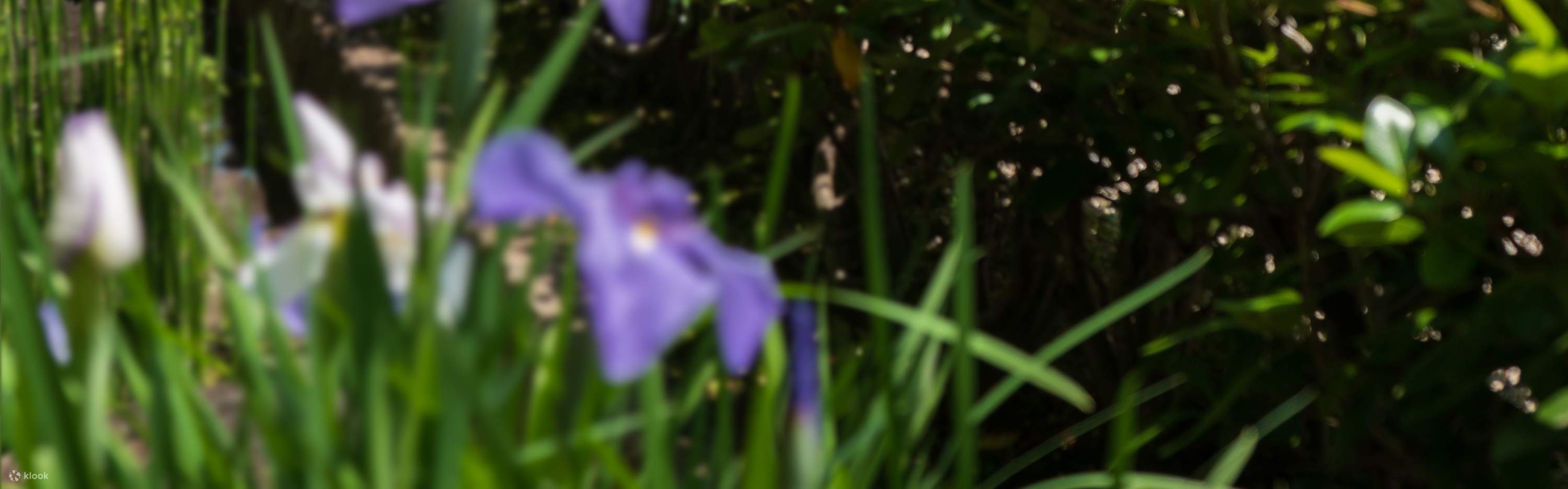 MOA美術館 (靜岡)