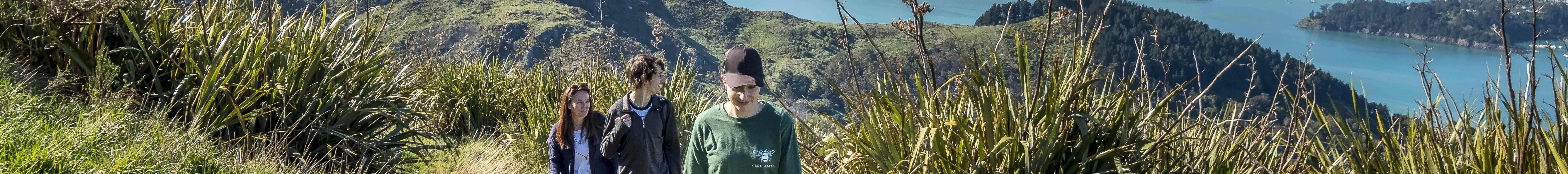 Explorez les nombreux sentiers pédestres du mont Cavendish