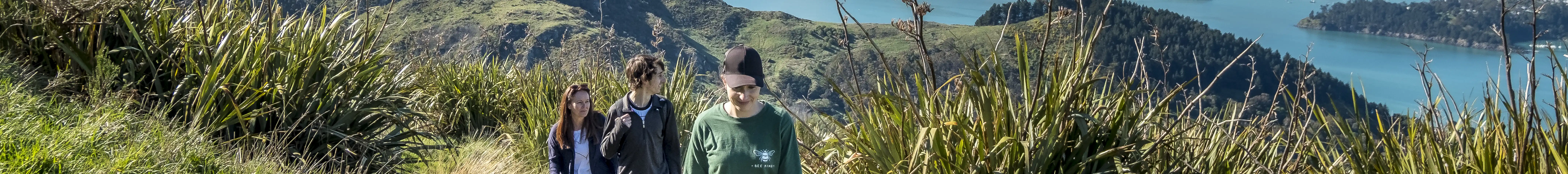 探索卡文迪什山的众多步道