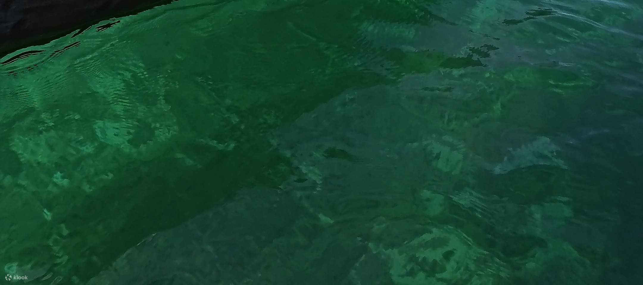 Rencontrez des tortues marines sauvages et des coraux colorés avec une forte probabilité, même les débutants peuvent profiter du snorkeling en toute tranquillité.