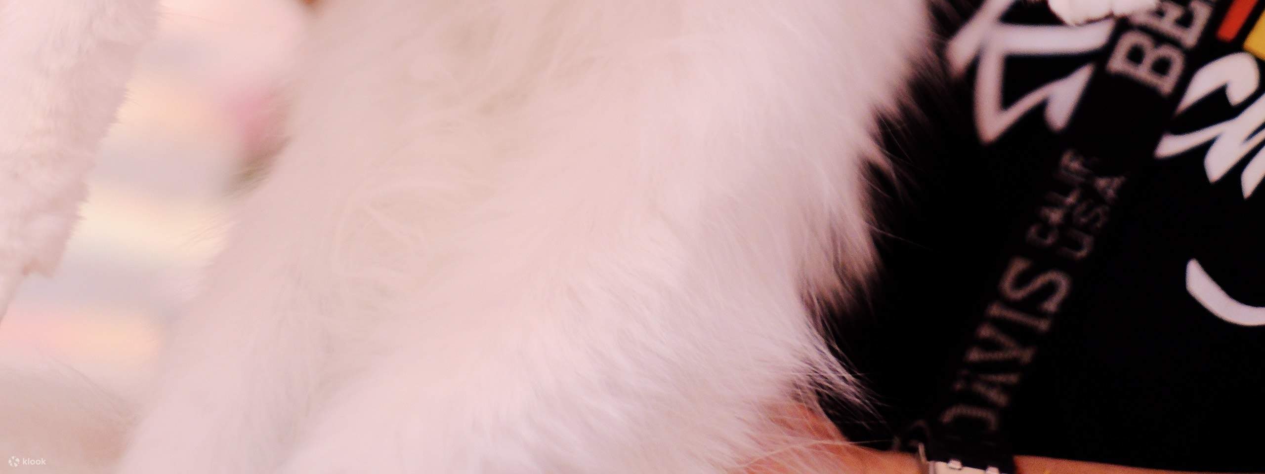 Mọi ngóc ngách đều là điểm sống ảo—tạo dáng ngay thôi!