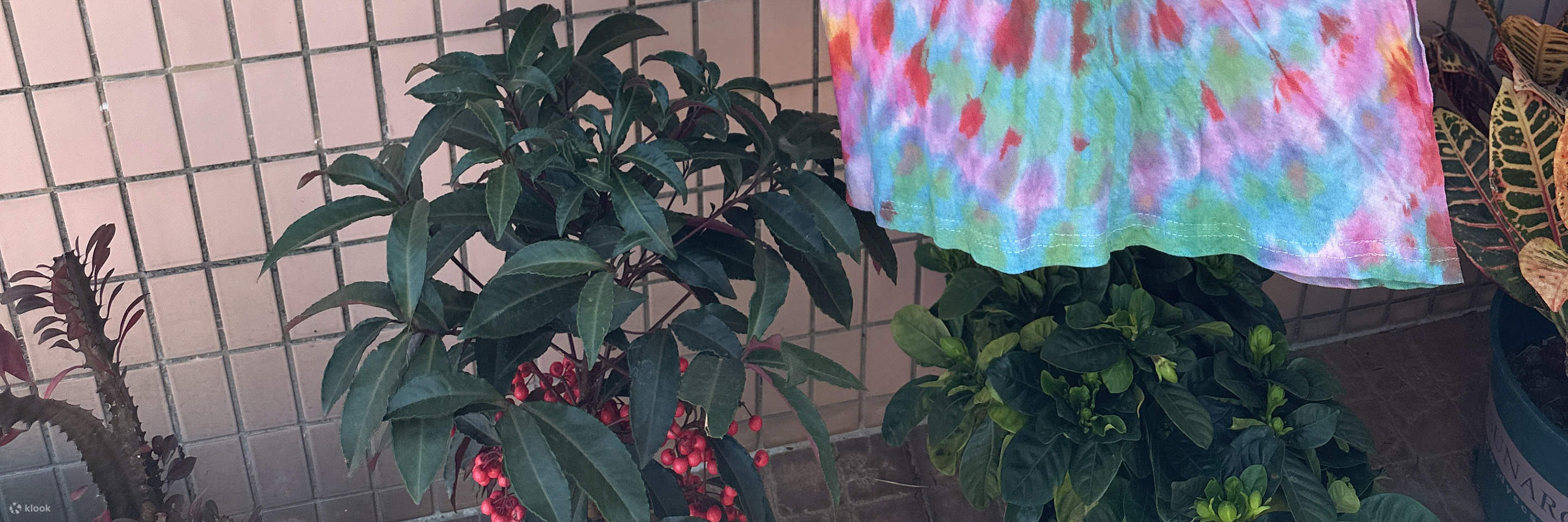 IRREGULart - Lokakarya tie-dye yang kreatif