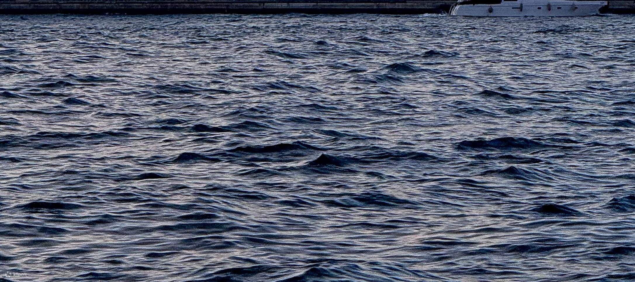 Croisière spectaculaire au coucher du soleil à Istanbul : 3 heures avec exploration de la rive asiatique