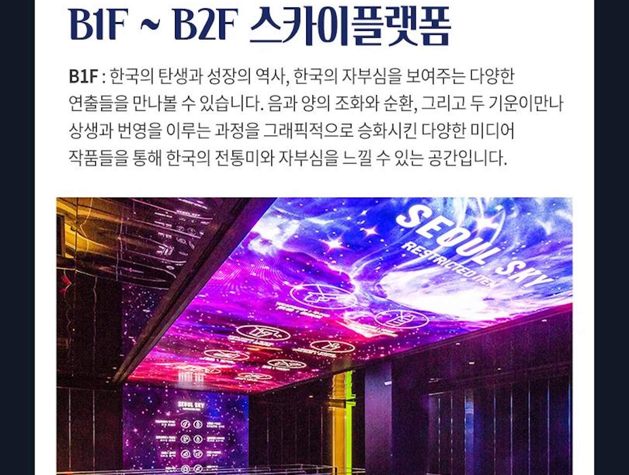 롯데월드타워 서울스카이 전망대 입장권