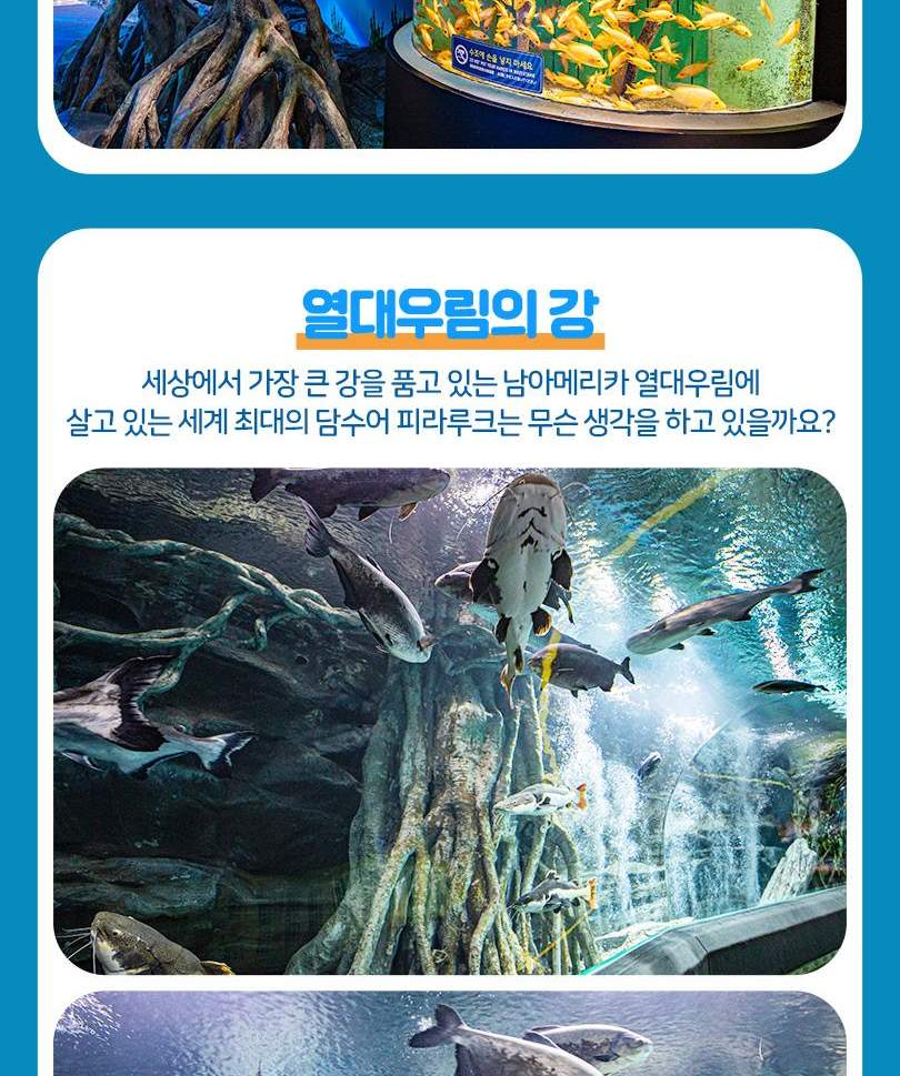 서울스카이 + 롯데월드 아쿠아리움 입장권