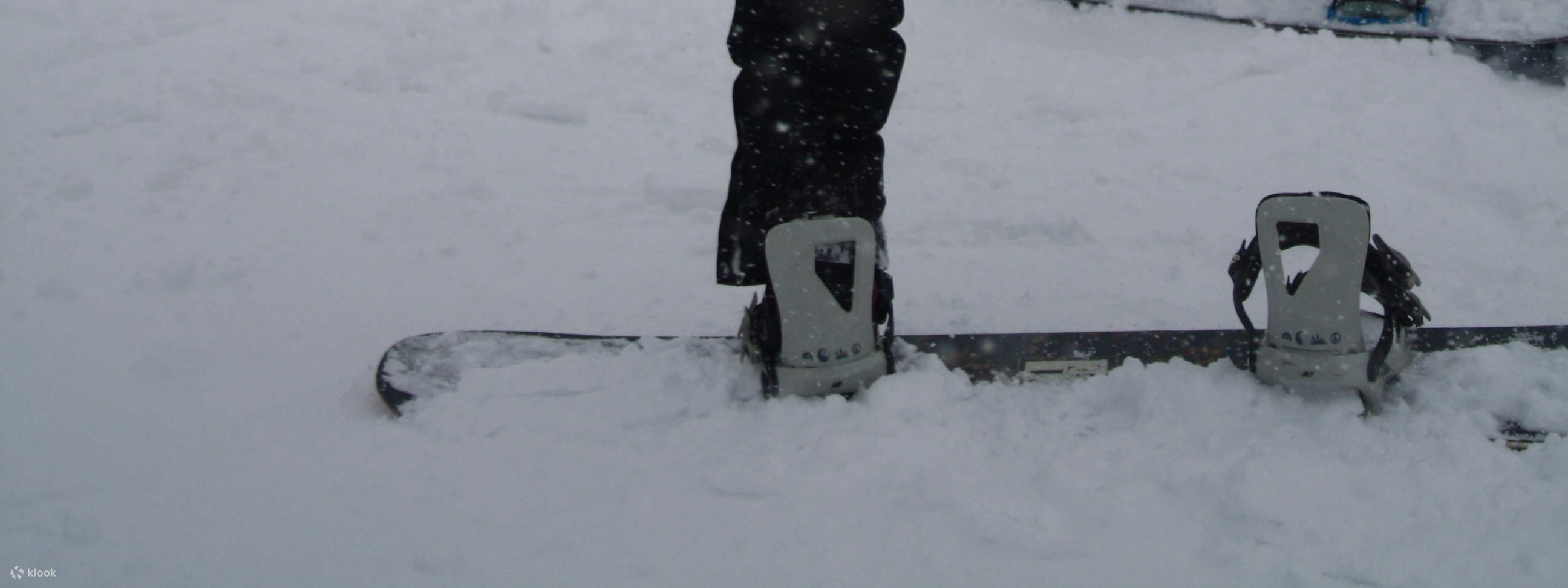 키로로 프라이빗 영어 스노보드 레슨