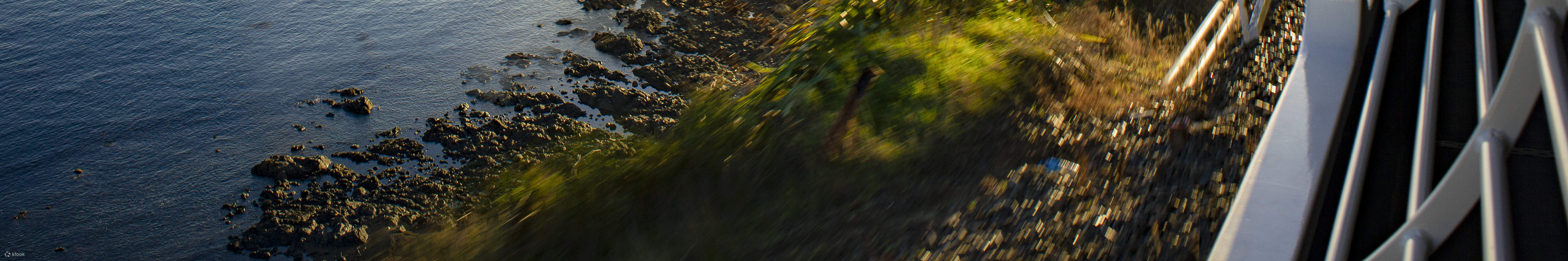 Atraviese los impresionantes paisajes de la región volcánica de la Isla Norte en su aventura en tren