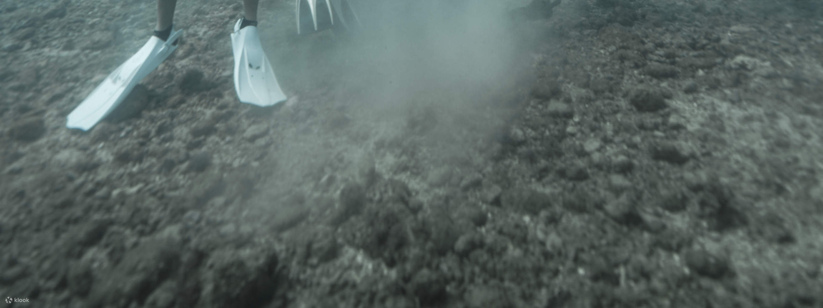 PADI Discover Scuba Diving