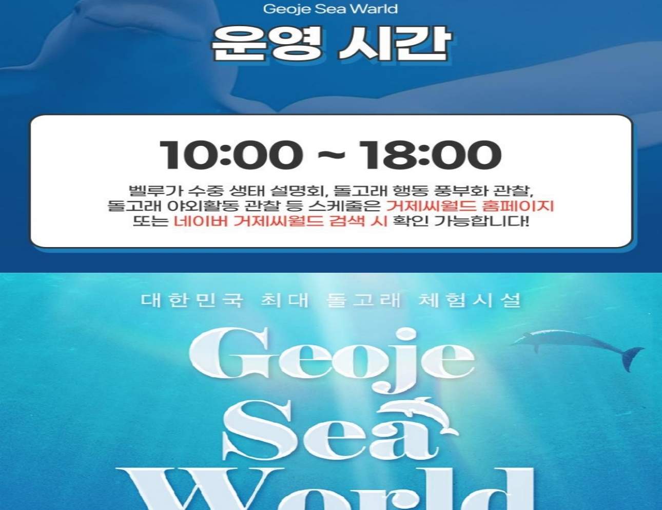 경남 거제 씨월드 입장권