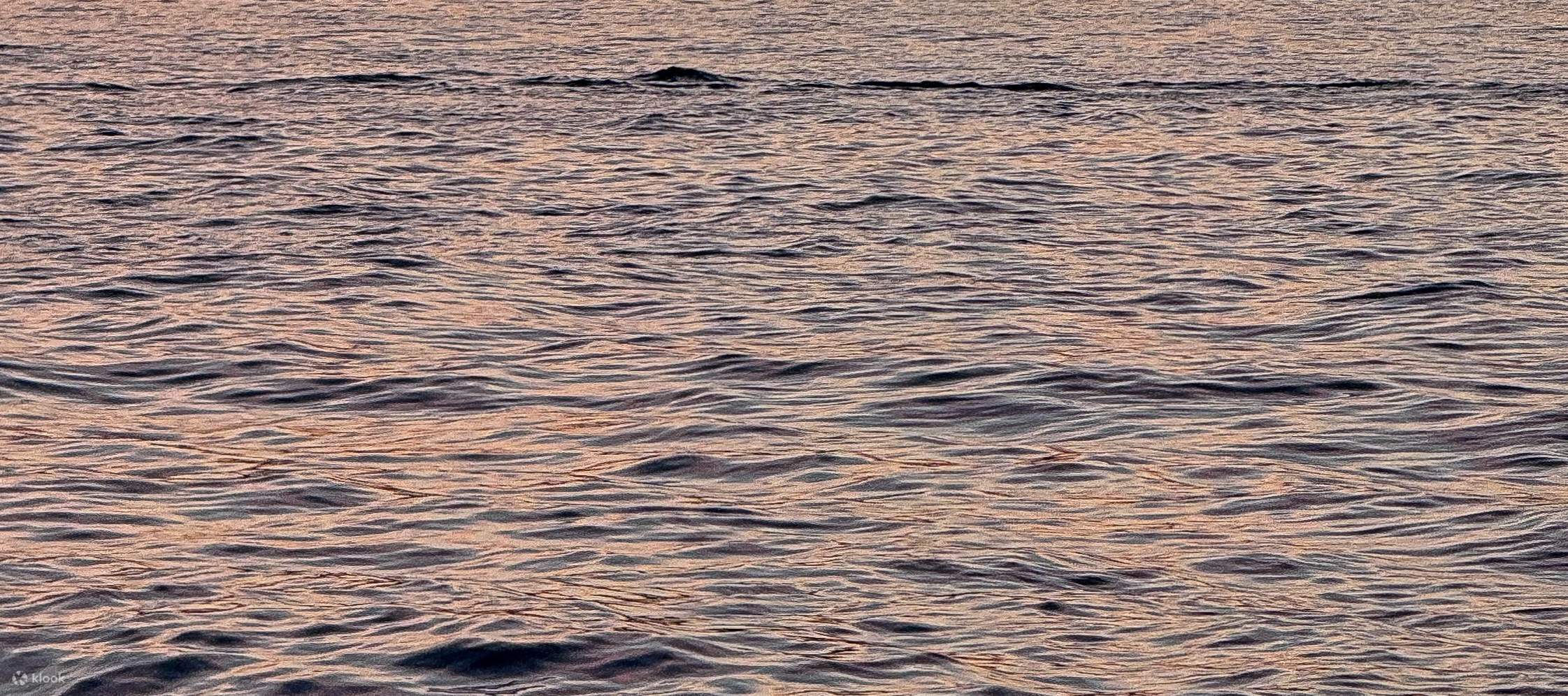 イスタンブール絶景サンセットクルーズ：アジア側探検付き3時間