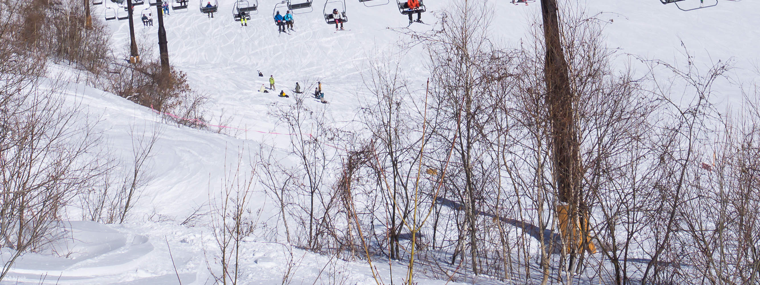 Pistes de Shiga Kogen