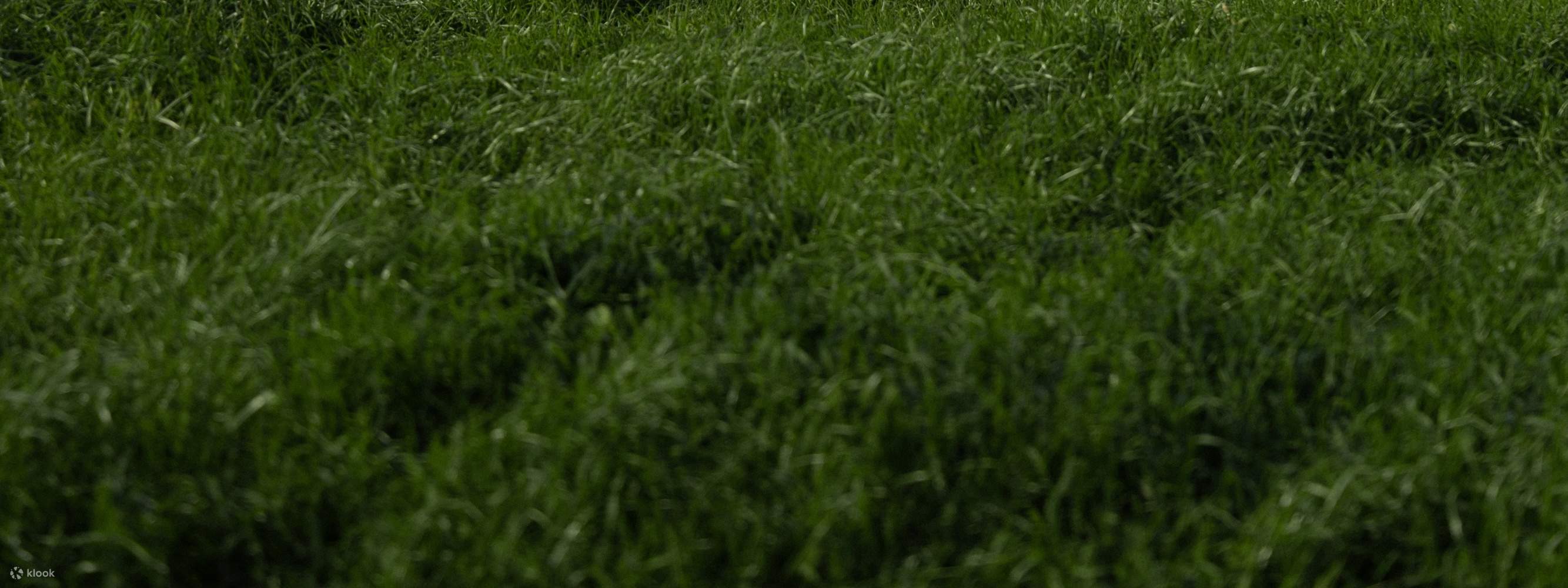 Une séance photo romantique en plein air avec une vue imprenable sur le ciel bleu et les paysages naturels de Jeju – parfait pour immortaliser vos souvenirs d'avant-mariage.