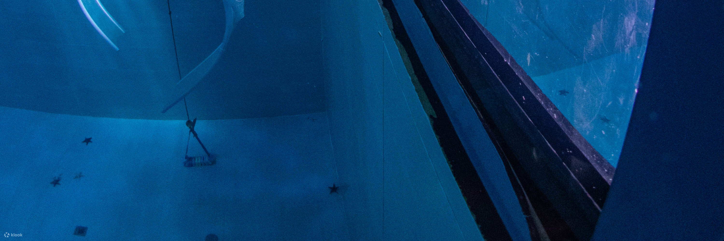 New Taipei: 52 Longdong Diving Center PADI Freediving Certification