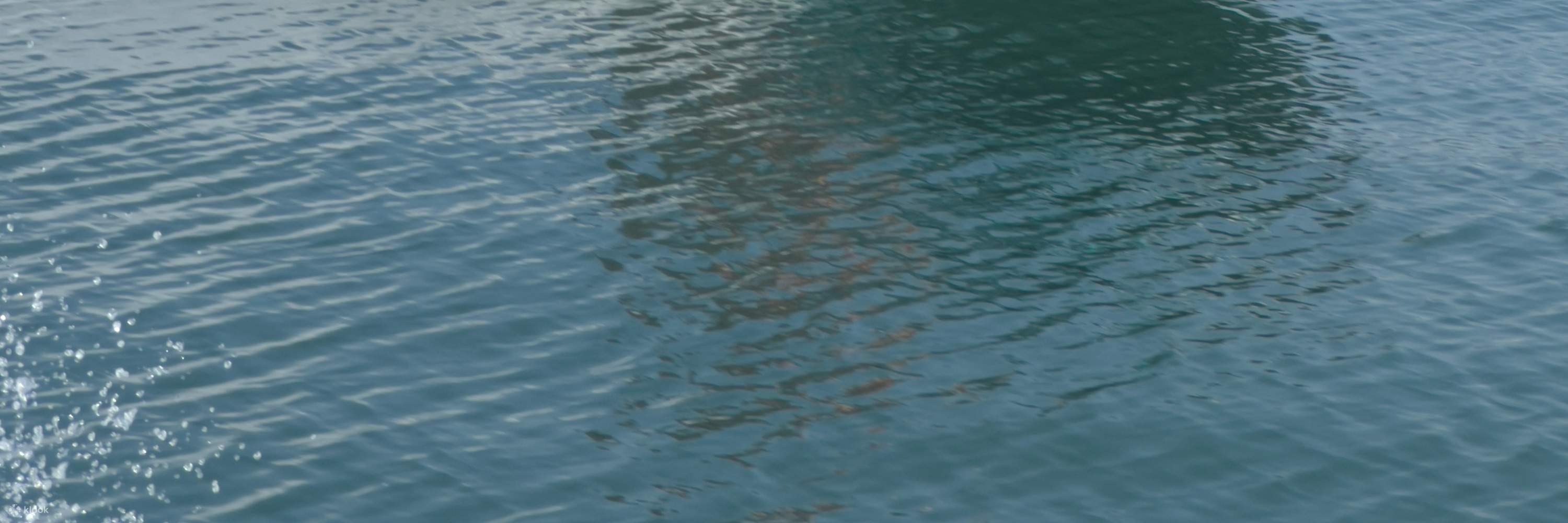 Đi mô tô nước ở Pulau Tuba