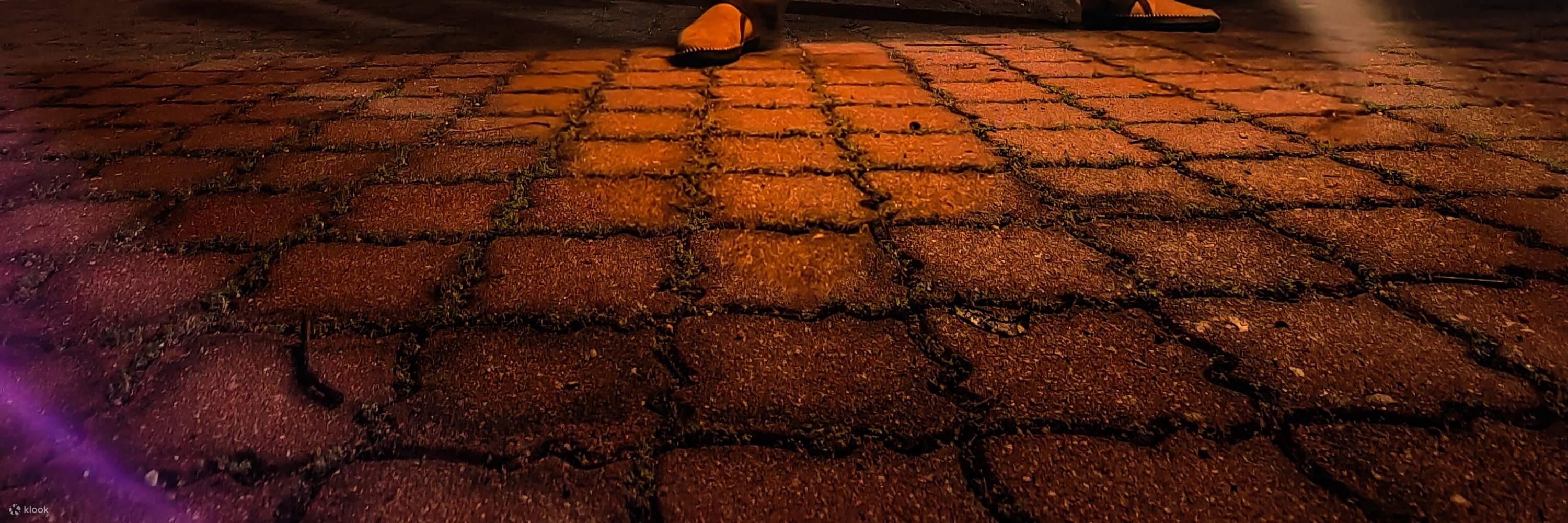 サンウェイラグーン チケット（セランゴール）