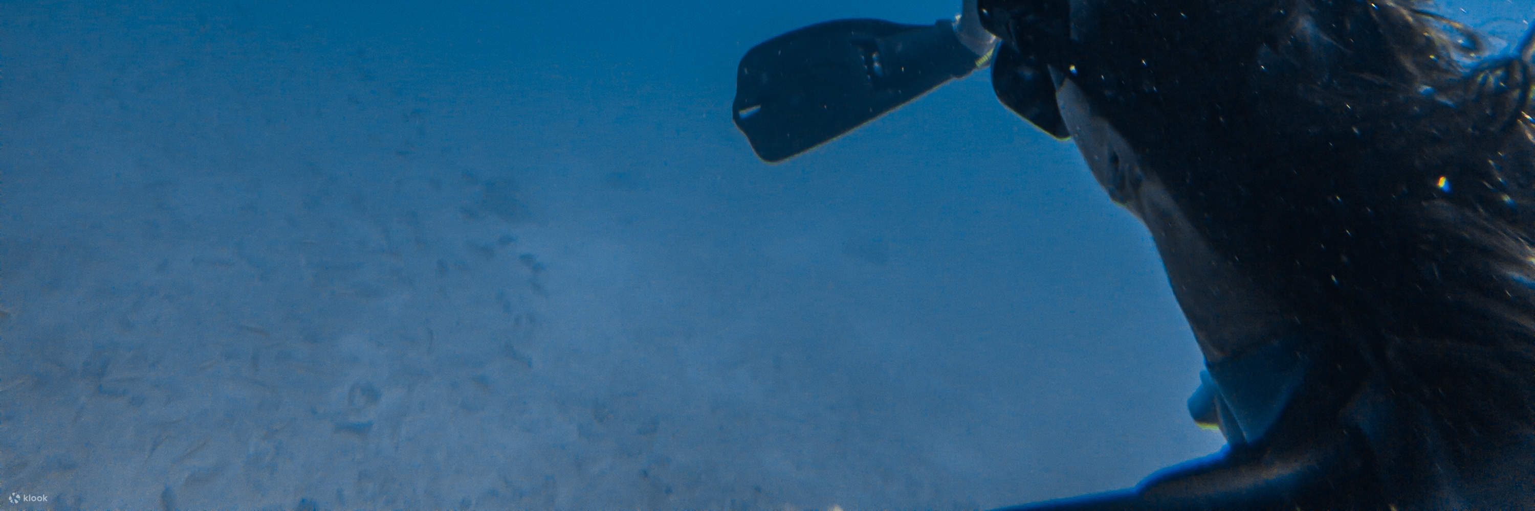 Curso de buceo Open Water Diver E-learning