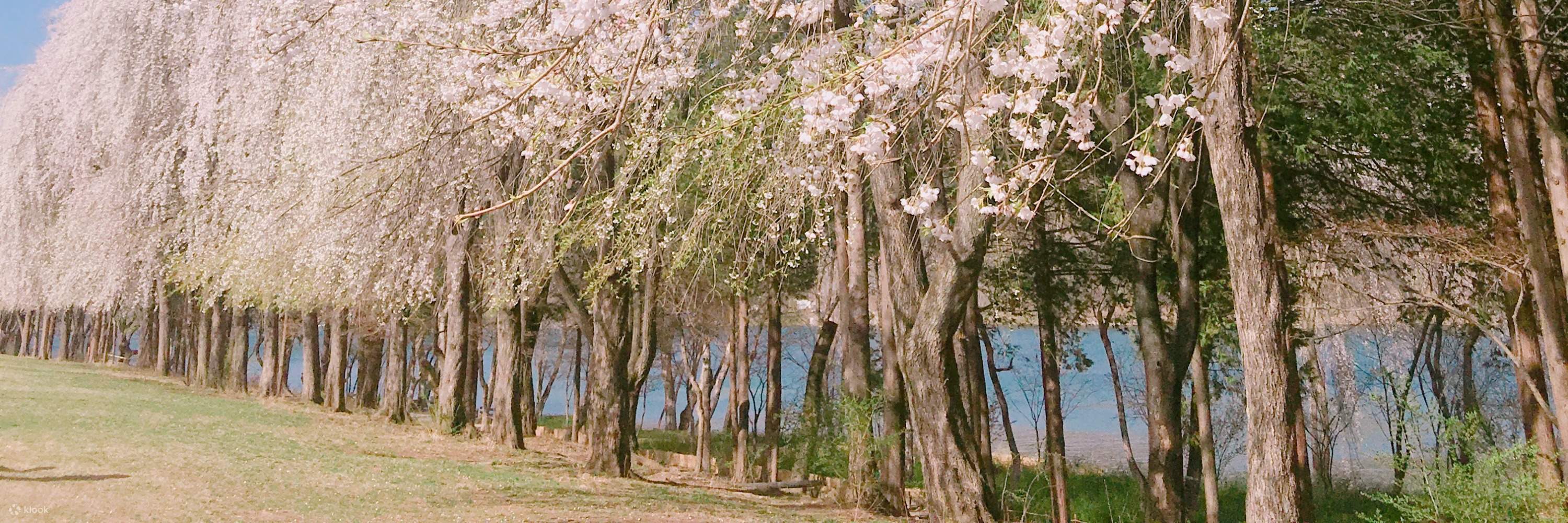 남이섬 입장권(QR 코드 바로 입장)