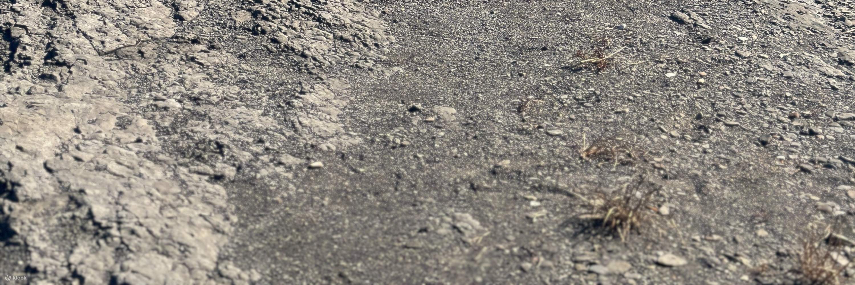 Tân Bắc Gongliao: Bầu trời đầy sao