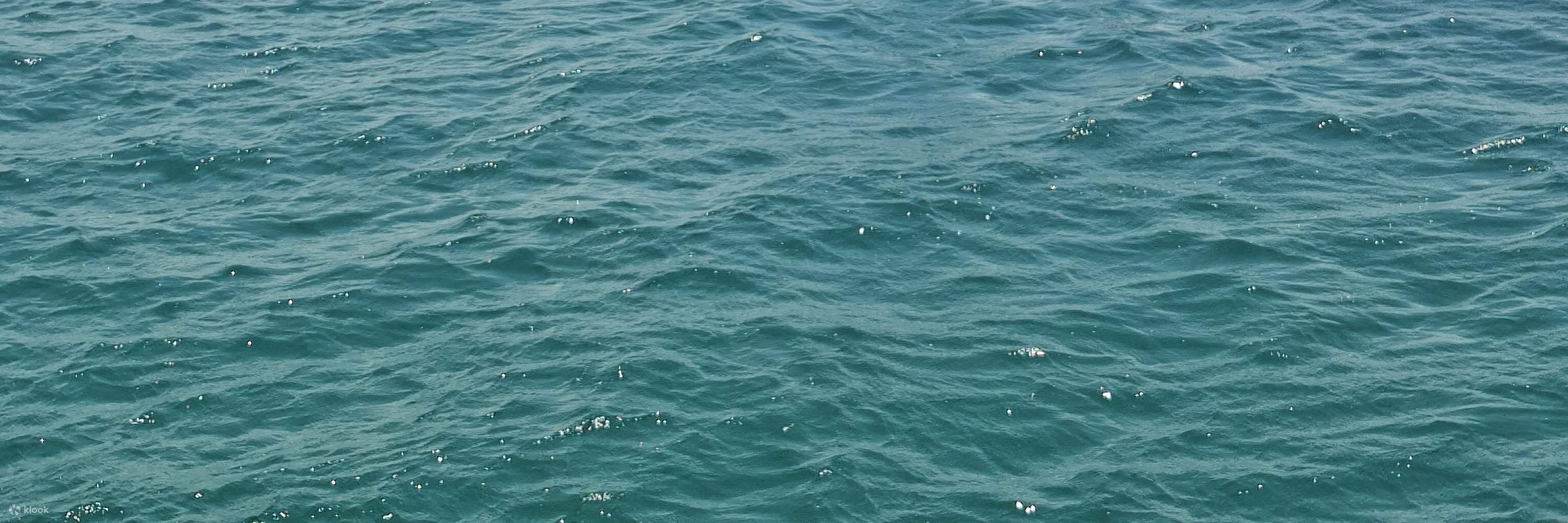 Bintan Fun Snorkling, Kayaking Dan Pengalaman Memancing 