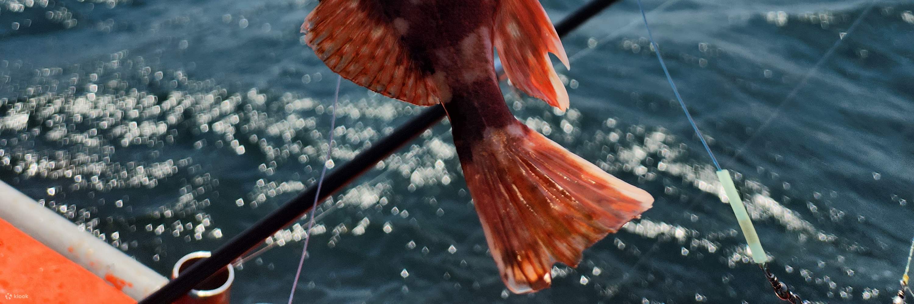 Tour di pesca in barca a Jeju con pranzo incluso