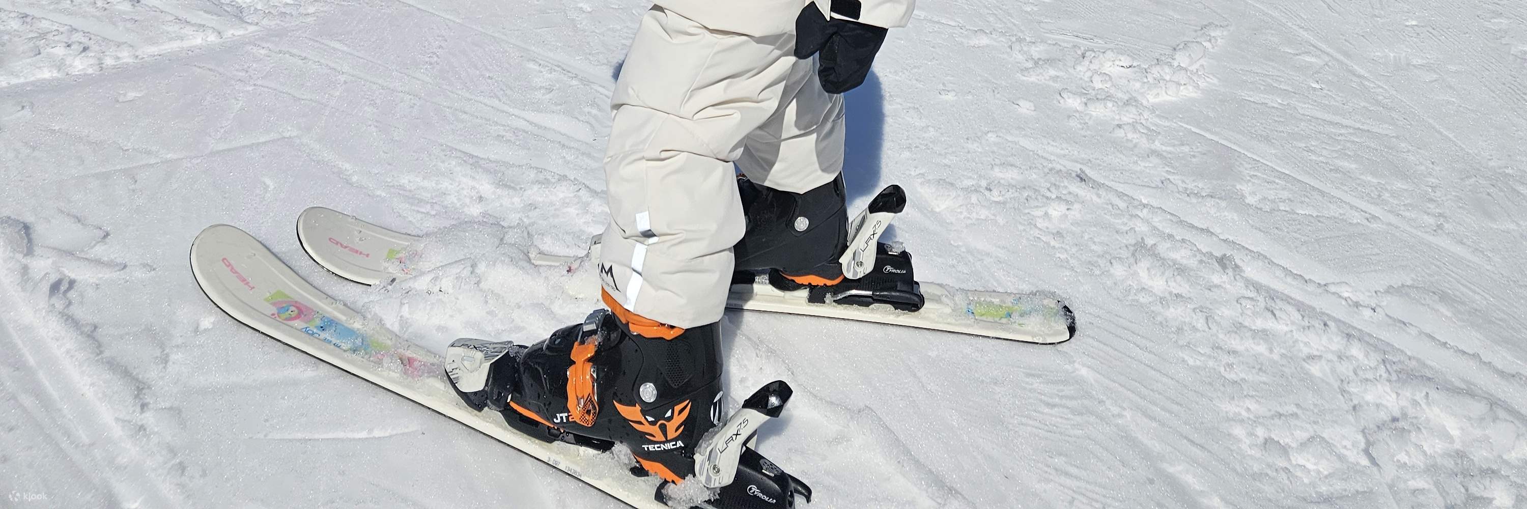 웰리힐리파크 프라이빗 스키 강습 패키지