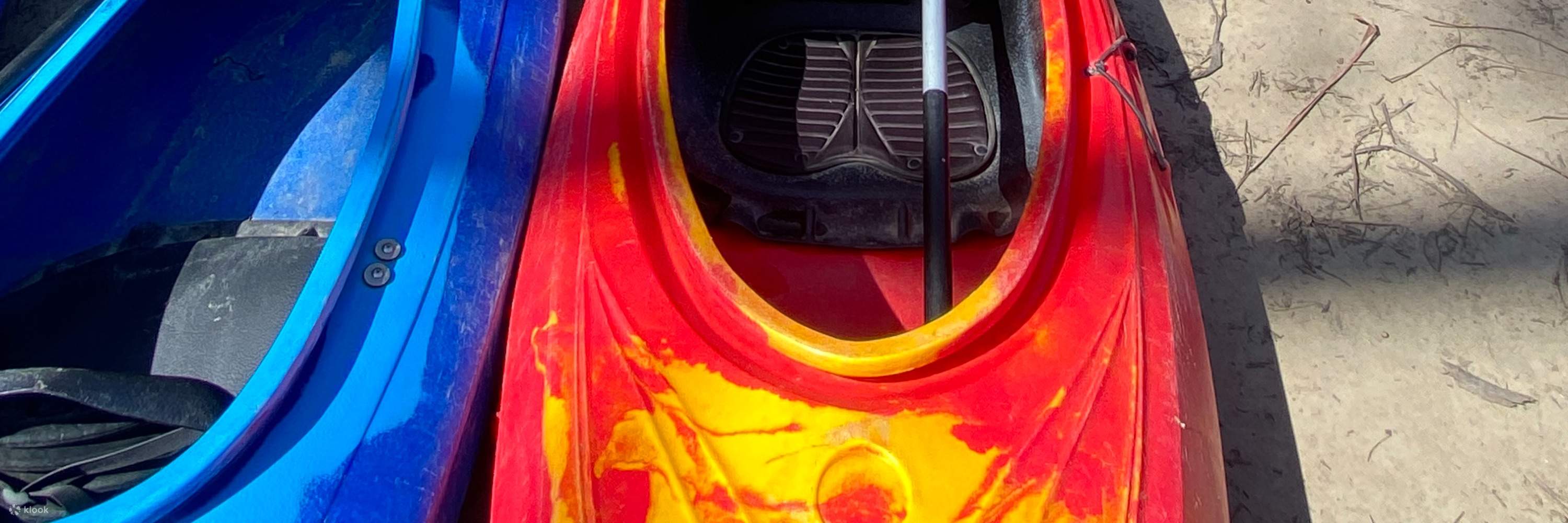 ¡Ve a remar con un amigo!