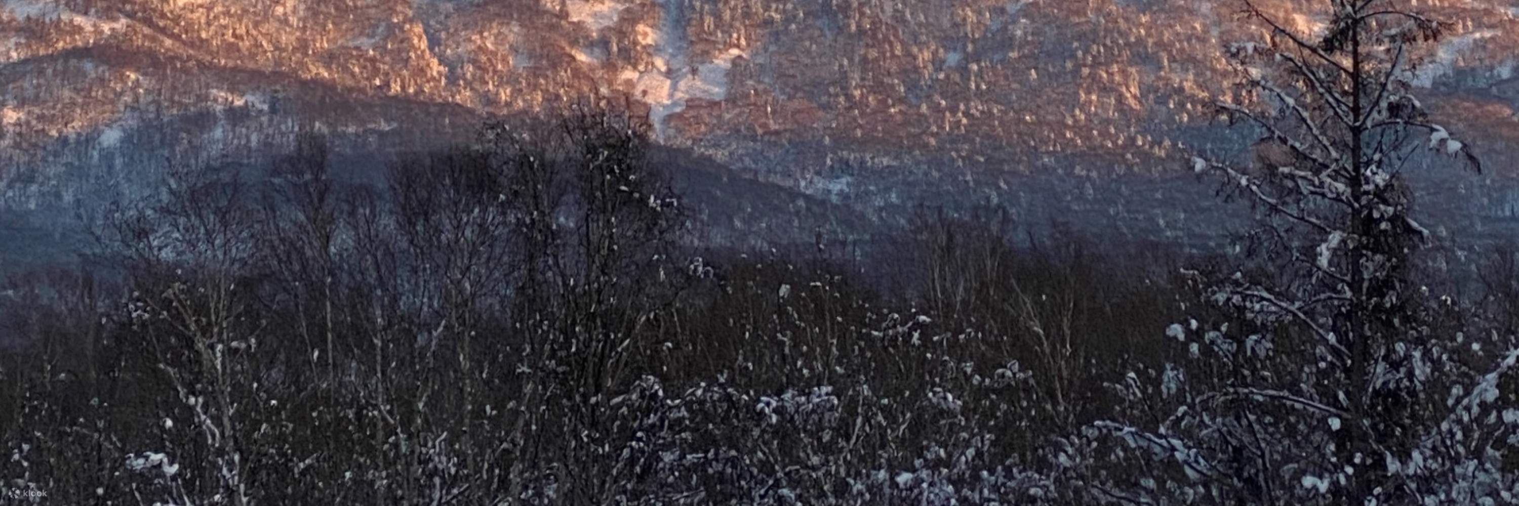 Private Ski or Snowboard Lesson in NIseko, Hokkaido