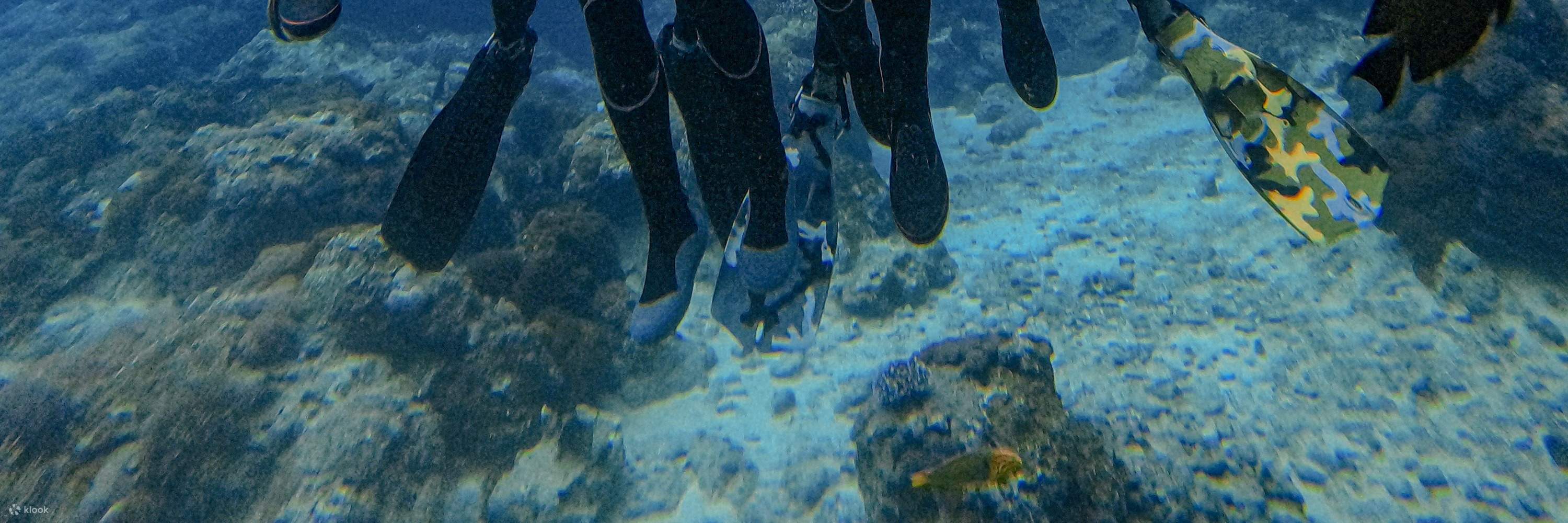 Menyelam di Teluk Green Island