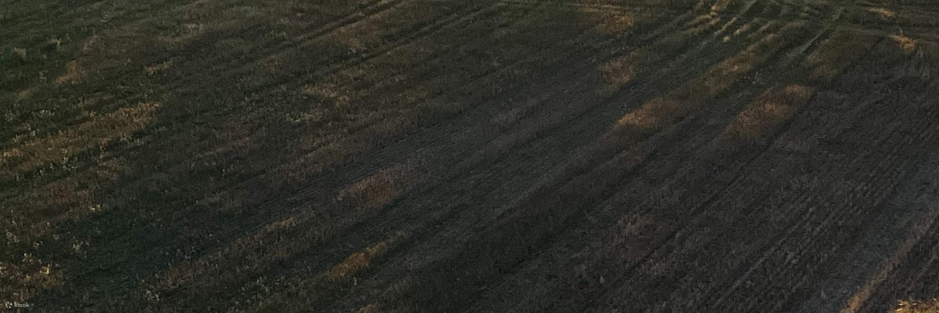 Vuelo en Globo Aerostático en Avon Valley en Perth