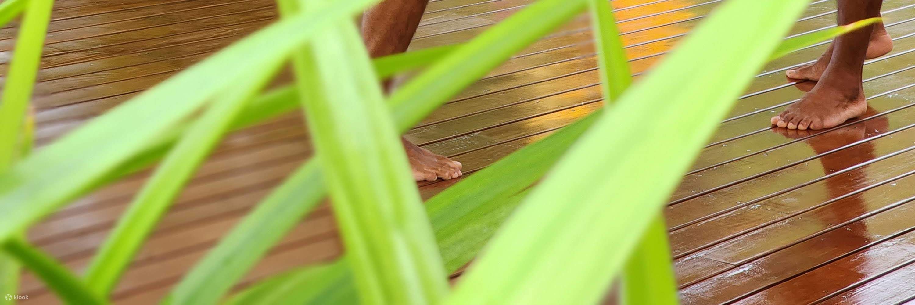 Muay Thai Boxing Class for Beginners